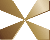 Partner Bronze