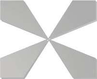 Partner Silver